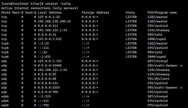 netstat