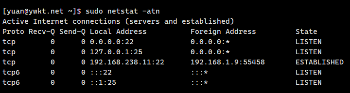 netstat