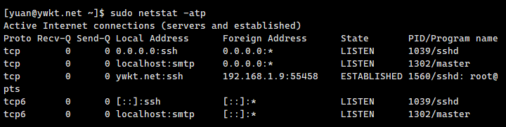 netstat