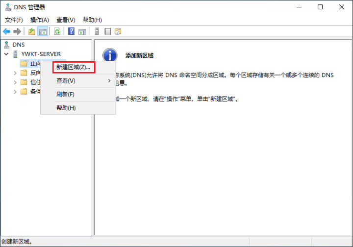 dns服务器