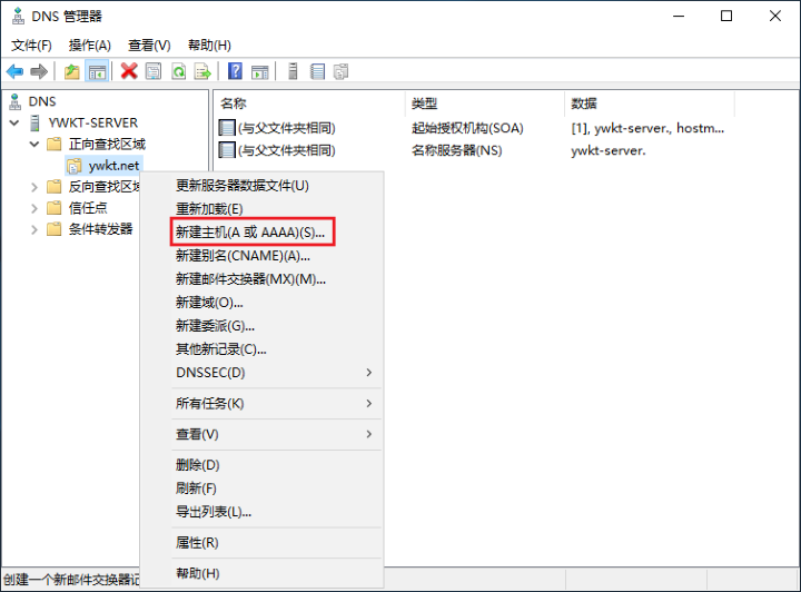 dns服务器