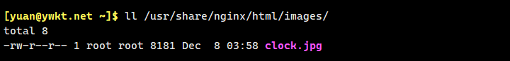 nginx