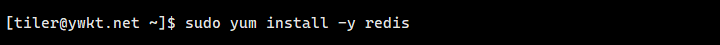redis