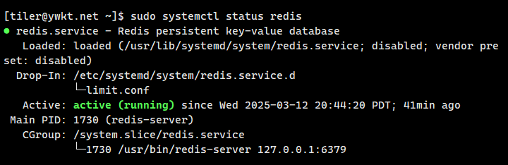 redis