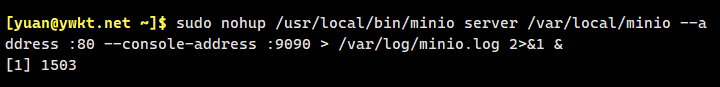 nginx