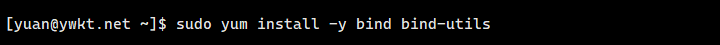 dns