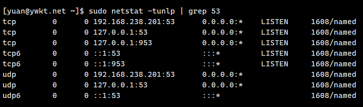 dns