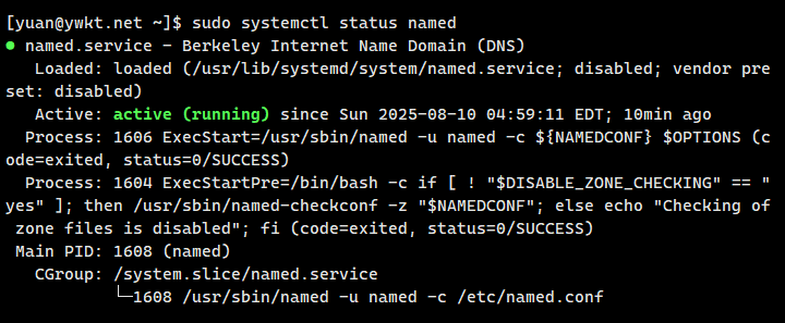 dns