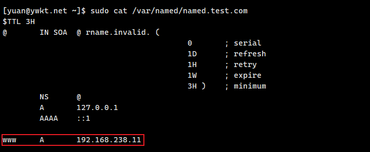 dns