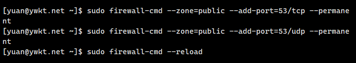 dns