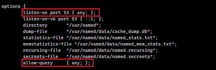 dns