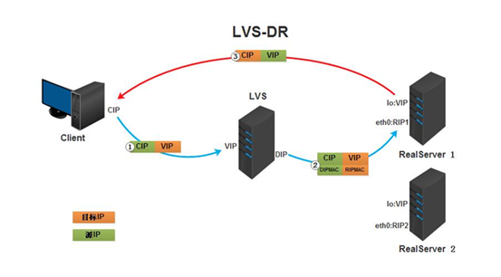 LVS