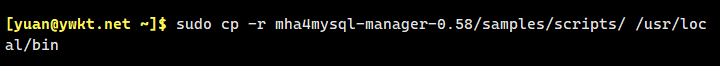 MySQL