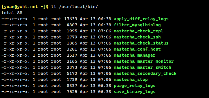 MySQL