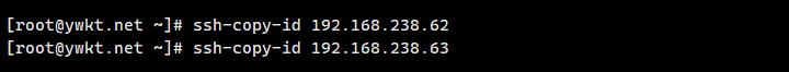 MySQL