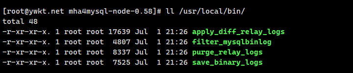 MySQL