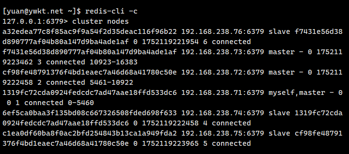 Redis