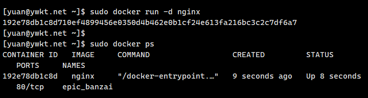 docker